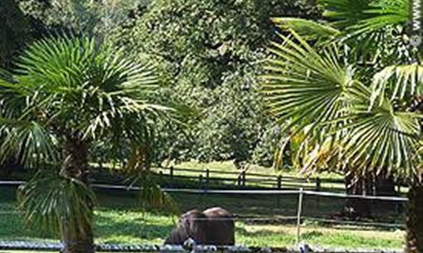 Manoir Tregaray