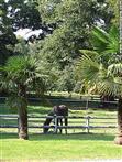 Manoir Tregaray