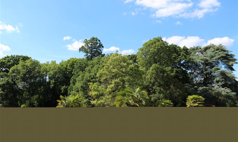Manoir Tregaray